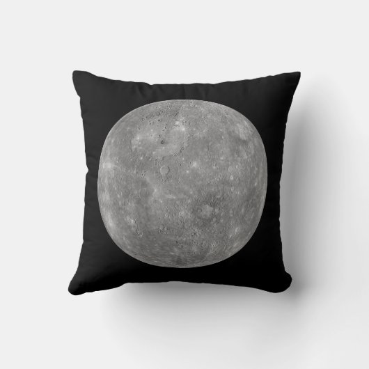 水星 クッション (裏面)