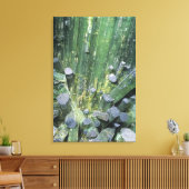 水晶のトルマリンのエルベイト結晶 キャンバスプリント (インサイチュ (リビング))