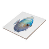 水晶ホワイトフィッシュ タイル (側面)