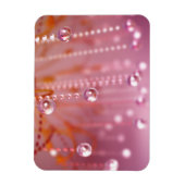 水晶可撓磁石のサンセット マグネット (縦)