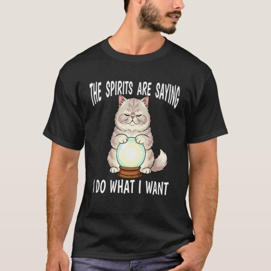 水晶玉を持つ占い猫の置物 あなたの望むことを Tシャツ (正面)