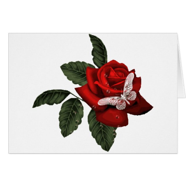 水晶蝶 (正面横)