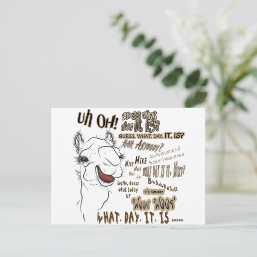 水曜日ラクダ ポストカード (スタンド正面)