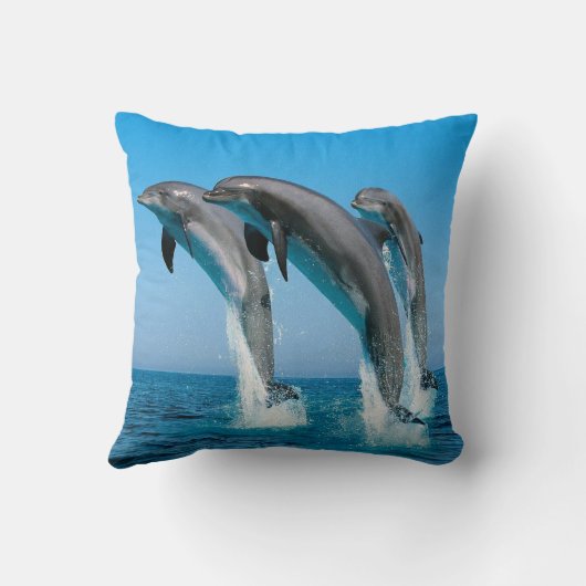 水枕クッションのイルカの素早く書き留めること クッション (裏面)