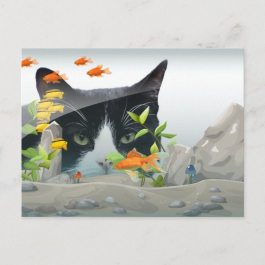 水槽の中を覗く猫の写真カスタム|過去記事 ポストカード (正面)
