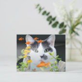 水槽の中を覗く猫 ポストカード (スタンド正面)