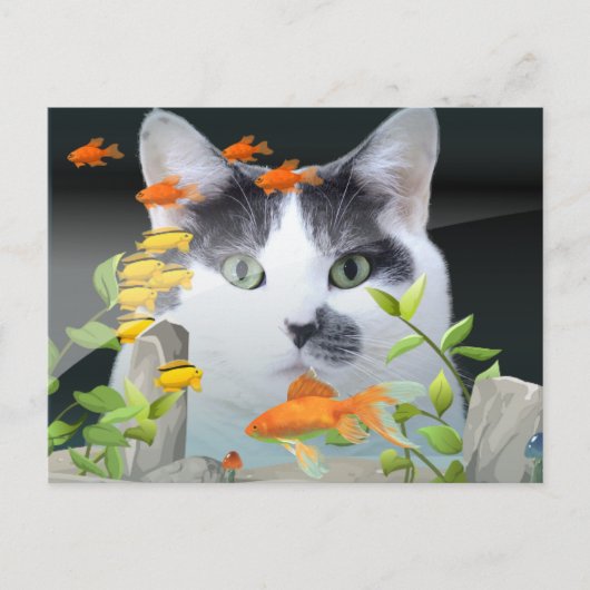 水槽の中を覗く猫 ポストカード (正面)