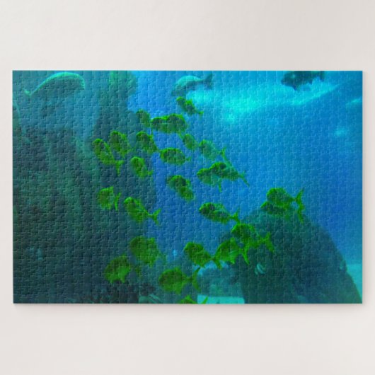 水槽の熱帯魚 ジグソーパズル (横)