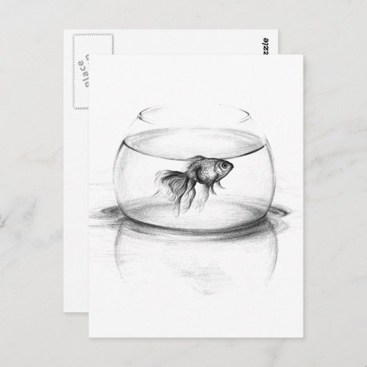 水槽の金魚と水の鉛筆画アート ポストカード (正面/裏面)