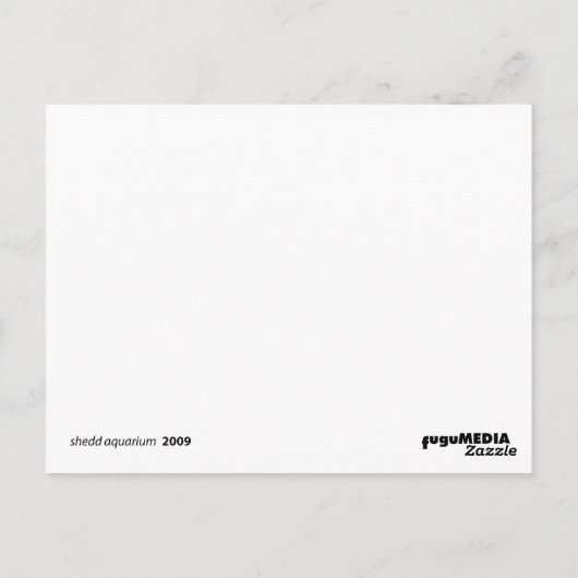 水槽 ポストカード (裏面)