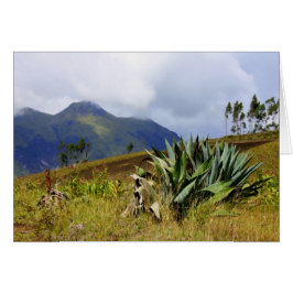 水気が多いエクアドル