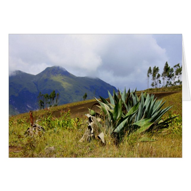 水気が多いエクアドル (正面横)