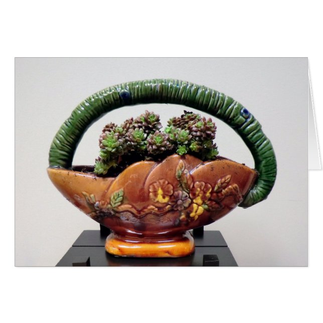 水気が多いデザインによるバスケットのSucculent (正面横)