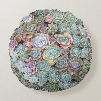 水気が多い庭の組合せSempervivum ラウンドクッション