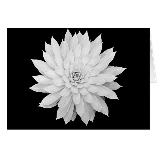 水気が多い曼荼羅 (正面横)