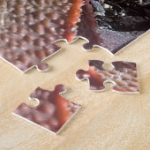 水気が多い植物の赤いアロエ11" x 14" 252 PC ジグソーパズル (側面)