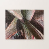 水気が多い植物の赤いアロエ11" x 14" 252 PC ジグソーパズル (横)