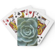 水気が多い植物