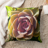 水気が多い池 クッション (ブランケット)