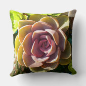 水気が多い池 クッション (裏面)