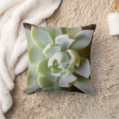 水気が多い装飾用クッション クッション (ブランケット)