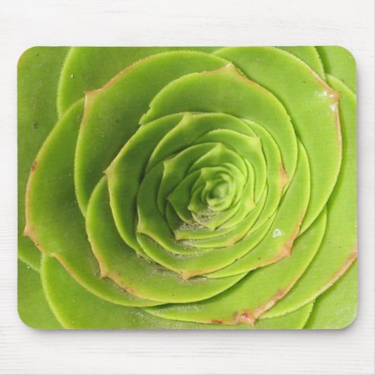 水気が多い マウスパッド (正面)