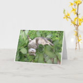 水気が多いBackscratch カード (黄色い花)