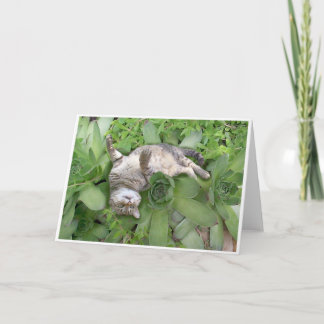 水気が多いBackscratch カード