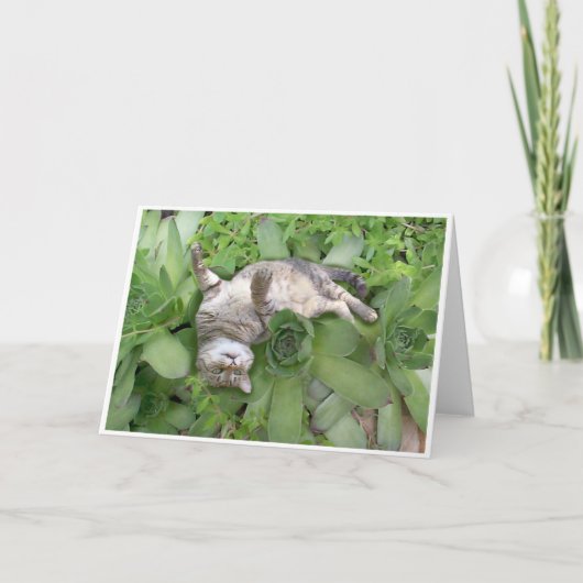 水気が多いBackscratch カード (正面)