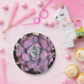 水気が多いEcheveriaのカラフルな紫色の雨滴 ペーパープレート (パーティー)