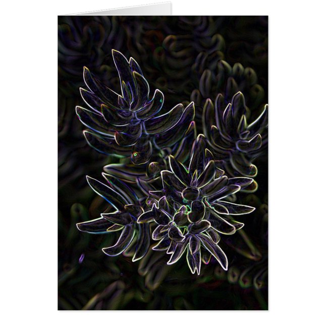 水気が多いSedum (正面)