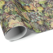 水気が多いSempervivums -ヴィンテージフィルター ラッピングペーパー (ロールコーナー)