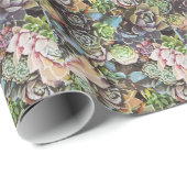 水気が多いSempervivums -大きい排気切替器 ラッピングペーパー (ロールコーナー)