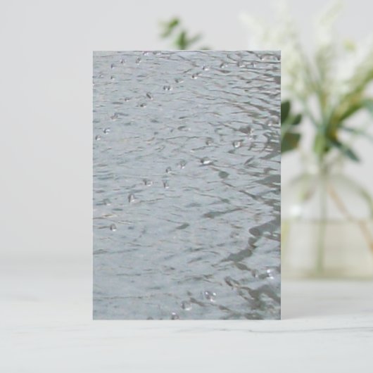 水波紋 (スタンド正面)