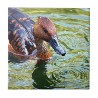 水泳のアヒル タイル