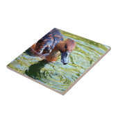 水泳のアヒル タイル (側面)