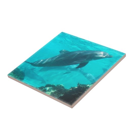 水泳のイルカのタイル タイル (側面)