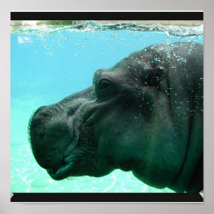 水泳のカバポスター ポスター