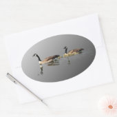 水泳のガチョウのステッカー 楕円形シール (封筒)