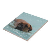 水泳のボルドー タイル (側面)