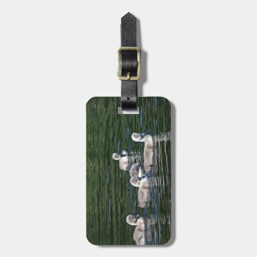 水泳の友人 ラゲッジタグ (正面縦)