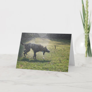 水泳の後のラーチャー-挨拶状 カード