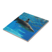 水泳の鮫のタイル タイル (側面)