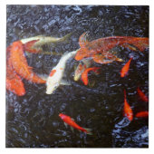 水泳コイ タイル (正面)