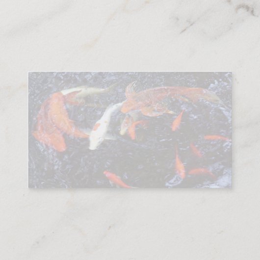 水泳コイ 名刺 (裏面)