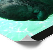 水泳ヒッポポスター ポスター (角)