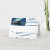 水泳ポーラーベアのグリーティングカード シーズンカード (裏面)