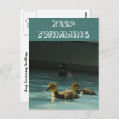 水泳保ダクリングはがき ポストカード (正面/裏面)