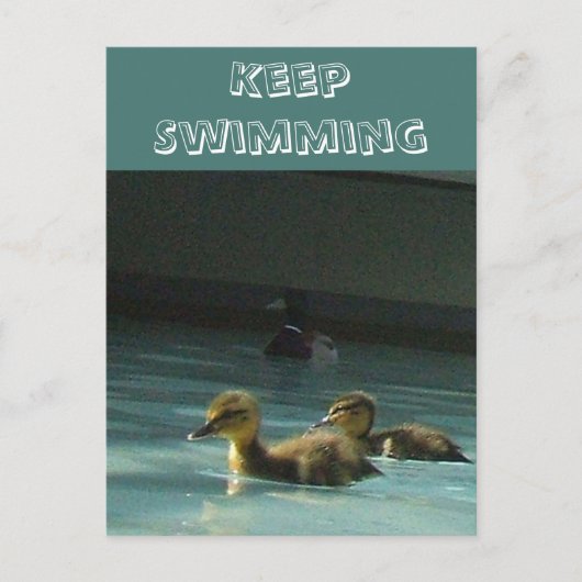 水泳保ダクリングはがき ポストカード (正面)