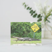 水泳無し! ポストカード (スタンド正面)